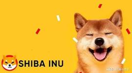 Shiba Inu 价格困境：Shibarium 的新功能可能是反弹的关键_SHI:ETHSHIB价格