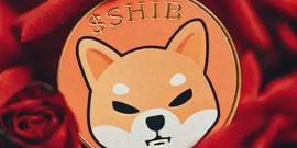 柴犬 (SHIB) 鲸鱼预计在市场动荡中价格会早日回升_SHIB:shib币前景不可限量