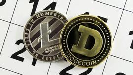 最大的推动者：LTC 下跌 6%，DOGE 跌至 2 周低点_LTC:莱特币