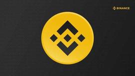 崛起社区：曾经的“牛市永动机”币安生态系是否具备抗打能力？_BCHAIN:BNBCH币