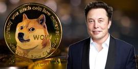 马斯克再挨告，狗狗币带货元凶！控贴柴犬图操纵市场、内线交易_马斯克:eth价格今日行情英为