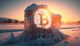 机构对比特币的支持正在涌入，是否足以引发2023年的另一场牛市？_比特币:比特币价格