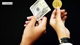 什么是期货马丁策略？期货马丁策略的风险有哪些？_OIN:filecoin币价格今日