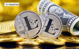 ltc中文名叫什么？ltc是什么币种？ltc永续是什么？_LTC:COIN