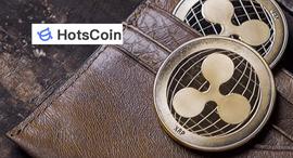 瑞波币是公链吗？瑞波官方区块链查询_狗狗币:KOTDOGE