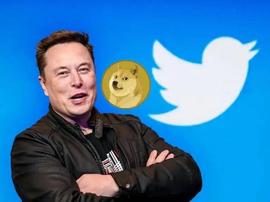 狗狗币会成为 Twitter 的货币吗？_狗狗币:doge币价格今日行情价格