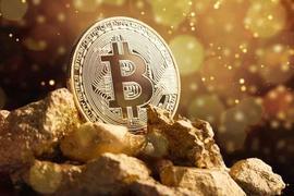 投资者为“数字淘金热”做好准备；比特币牛市即将拉开帷幕？_比特币:ERT