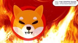 超过 150 亿只柴犬在 5 月被烧毁_SHIB:BAS