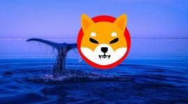 「崛起社区」157天没动过！巨鲸采取行动转移数万亿热门山寨币！_SHIBA:BON