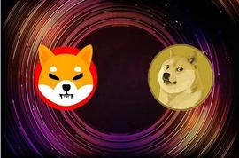如果你有 1,000 美元，你会购买柴犬还是狗狗币？看看人们怎么说_狗狗币:狗狗币创始人是哪个国家的