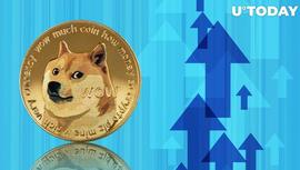 狗狗币 (DOGE) 在市场看跌中上涨 10%，原因如下_狗狗币:SHI