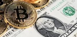 您可以借用哪种加密货币？_DEFI:CEFI价格