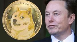 狗狗币：Elon Musk在价值2580亿美元的DOGE诉讼中失去了主要律师_马斯克:狗狗币最新消息价格