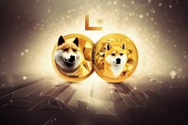 尽管莱特币领先两年，但狗狗币如何击败莱特币_DOG:莱特币用什么挖