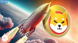 Shiba Inu 网络活动在 48 小时内飙升 240%_SHI:SHIB