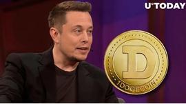Dogecoin的Billy Marcus和Elon Musk将关系提升到新水平方法如下_ITT:WIT
