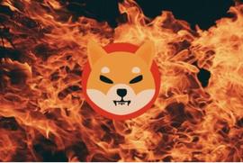 Shiba Inu 5 月销毁量飙升，SHIB销毁仅9天就突破56亿代币_SHI:SHIB