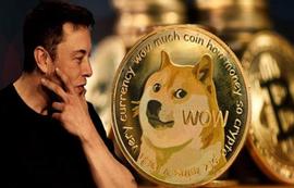 随着Twitter恢复原始徽标，鲸鱼转储，狗狗币 (DOGE) 价格暴跌 9%_DOGE:TTE