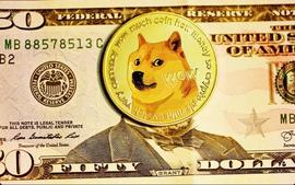 狗狗币下跌超过 7%，而社交量飙升_DOG:加密货币情感