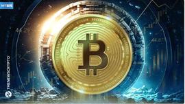 Peter Schiff 令人惊讶的支点：推出新的比特币序号 NFT_NFT:1NFT