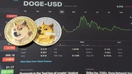 「崛起社区」莱特币持续上涨，DigiToads能否反超狗狗币？_ADS:DIG