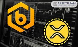 Bitrue用户持有价值8亿美元的XRP，其中88%的用户持有多头头寸_XRP:trustwallet官网下载地址