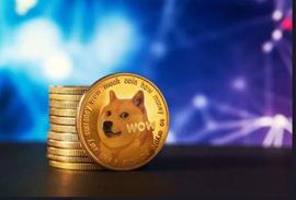 2023 年 5 月 31 日狗狗币价格预测_DOG:COIN