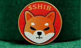 Shiba Inu ($SHIB) 烧伤率猛增8000%，因为Shibarium推出烧伤机制_SHI:YOSHI币