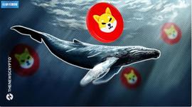 「崛起社区」Shiba Inu (SHIB) 成为顶级以太坊鲸鱼的首选代币_SHI:币圈ETH最新问题