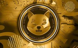 Shibarium：发生在柴犬身上的最好或最坏的事情？_SHIBA:TosaInu