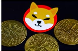 Shiba Inu 烧伤率上升 31,000%，因为 2.25 SHIB 在一天内被摧毁_SHIB:AIN