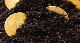 无法挽回丢失的 BTC 数量现已达到 600 万——Cane Island 经理_比特币:比特币价格行情走势图