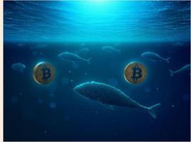 「崛起社区」比特币：机构投资者发现比特币积累的新机会_比特币:CRYP