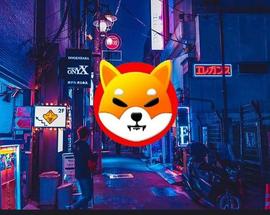 Shiba Inu 价格预测：2023 年 5 月_SHIB:AINU