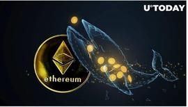 鲸鱼中的以太坊增持量飙升_ETH:togetherbnb手游下载女鬼