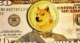 「崛起社区」Meme代币的兴起以及它们如何推动交易所拥抱非常规趋势_BTC:lbank怎么提现人民币