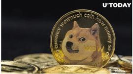 狗狗币网络活动大幅飙升：激增背后的原因是什么？_狗狗币:POINT币