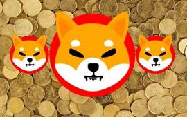「崛起社区」超过 29 万亿只柴犬恢复盈利，SHIB 增长 22%_BAY:PNFT
