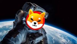 Shiba Inu：如果你在“今天”购买 SHIB，你可以赚 700 万美元_加密货币:INU
