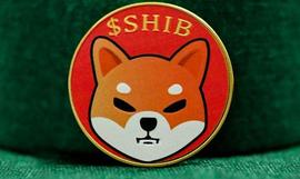 数据显示，顶级以太坊$ETH鲸鱼库存超过 56 万亿只柴犬（$SHIB）_SHIB:SHIBJUMP价格