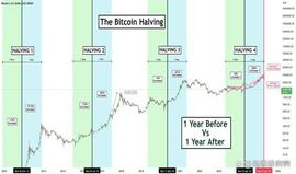 什么是比特币减半？比特币减半对加密市场的重要性_BTC:小伙找回了5000比特币
