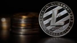 莱特币争议100美元，下一步是什么？_LTC:ltc币减半前后