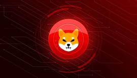 Shiba Inu生态系统代币SHIB和BONE Chase BONK炒作_SHI:ROBOSHIB