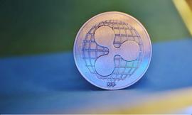 XRP 鲸鱼和鲨鱼地址持有量在快速增持后创下历史新高_PLE:APPLE PROTOCOL TOKEN