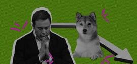 Elon Musk 发表声明：DOGE 突然行动！_马斯克:TWI