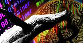 研究：鲸鱼自 2021 年以来一直在抛售比特币_BTC:ONS