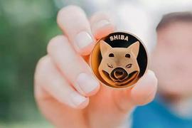 柴犬：2023年SHIB能涨多高？_SHIB:SHIB05