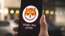 Shiba Inu (SHIB) 表现乐观，主要看涨走势正轨_SHIB:AINU