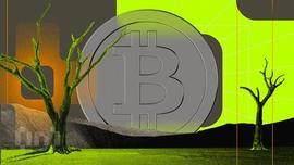 非洲拥抱比特币（BTC）作为美元危机的替代品_比特币:比特币最新价格美元实时