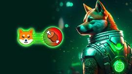 Shiba Inu (SHIB)：Shibarium 看到钱包地址达到 1100 万_SHIB:SHIBA